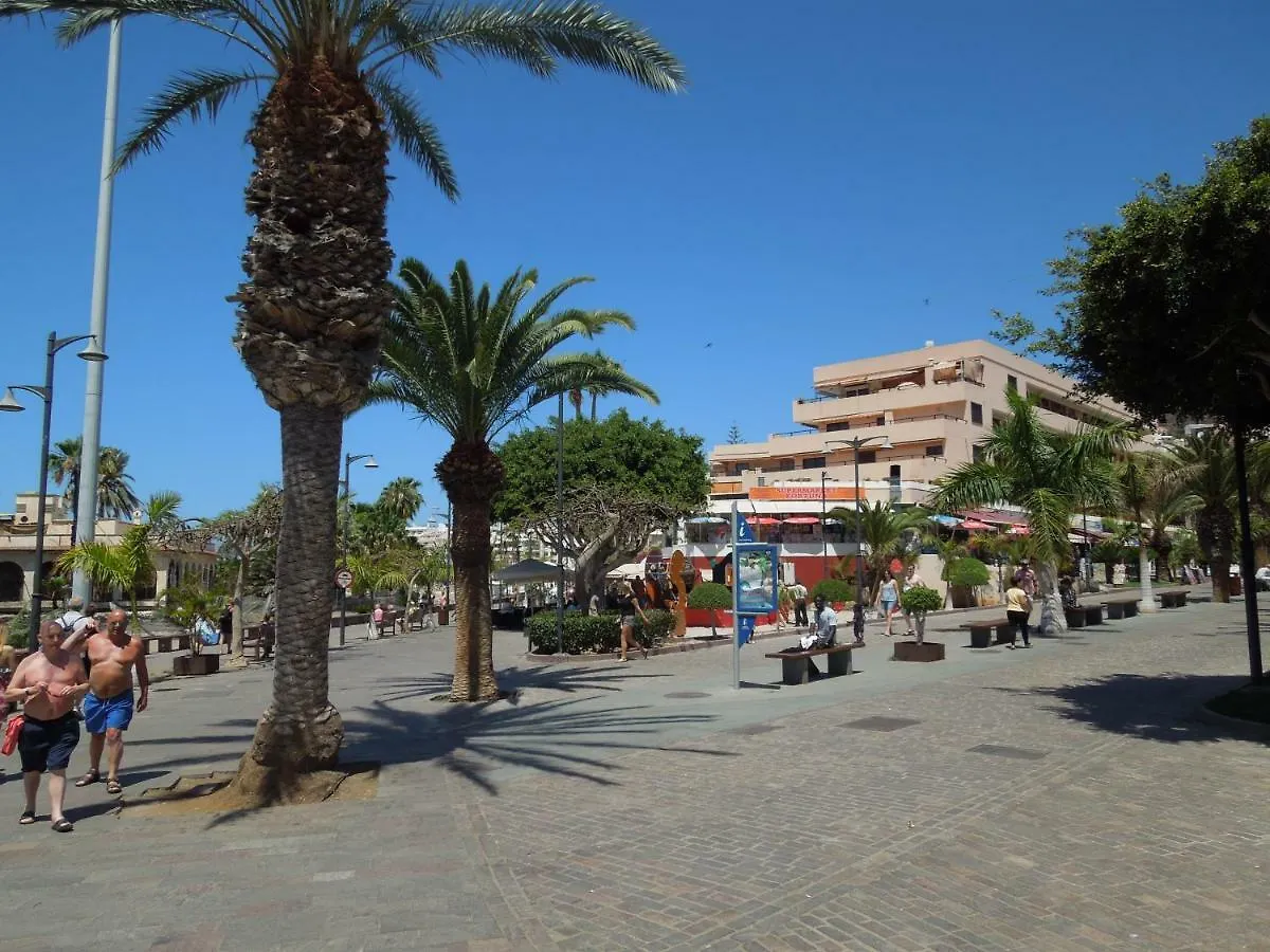 Beachfront Apartment Casa Verano With Pool, Balcony, Wifi, Central Locatation Arona